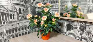 Гостиница Антре Геленджик Апартаменты с балконом-16