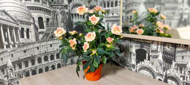 Гостиница Антре Геленджик-39